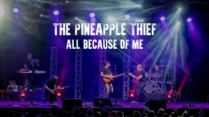 All Because Of Me Lyrics – The Pineapple Thief