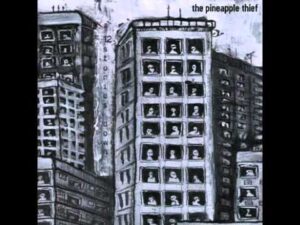 Catch The Jumping Fool Lyrics – The Pineapple Thief