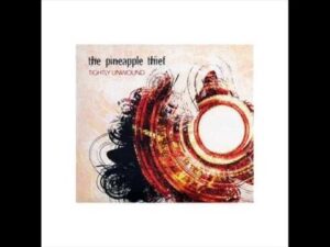 My Bleeding Hand Lyrics – The Pineapple Thief