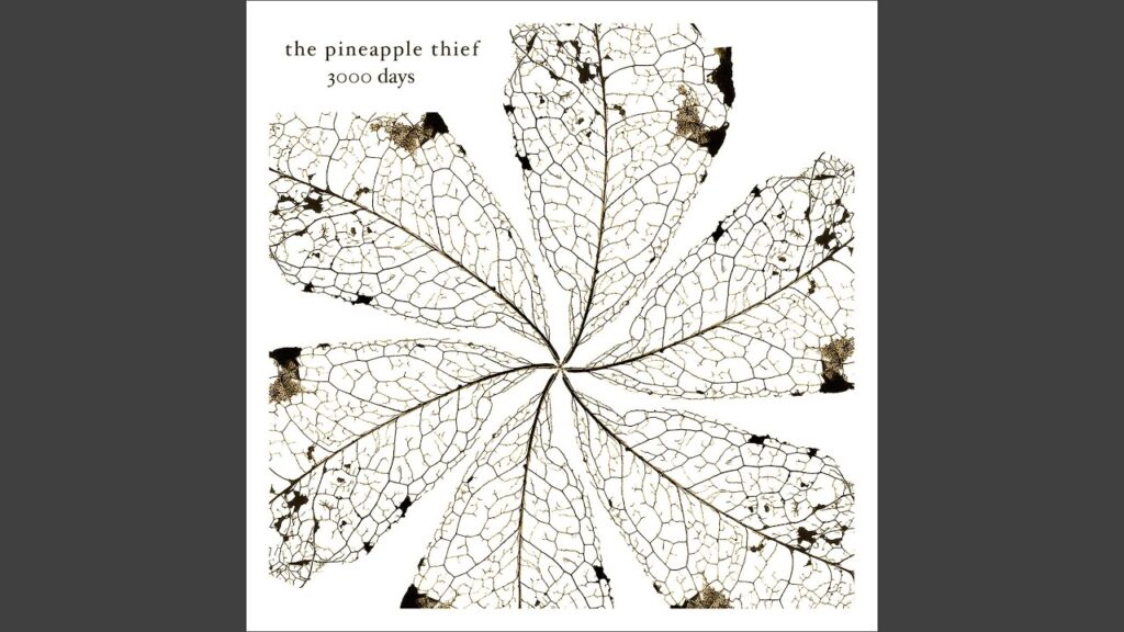 Snowdrops Lyrics – The Pineapple Thief