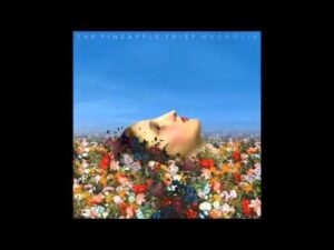 Steal This Life Lyrics – The Pineapple Thief