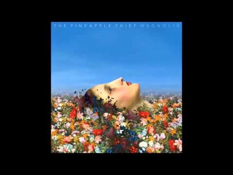 Steal This Life Lyrics – The Pineapple Thief