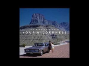Take Your Shot Lyrics – The Pineapple Thief