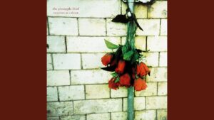 The Bitter Pill Lyrics – The Pineapple Thief