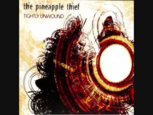 The Sorry State Lyrics – The Pineapple Thief