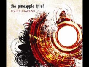 Tightly Wound Lyrics – The Pineapple Thief